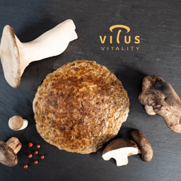 Vitus Vitality BIO Grillpilz Gewürz